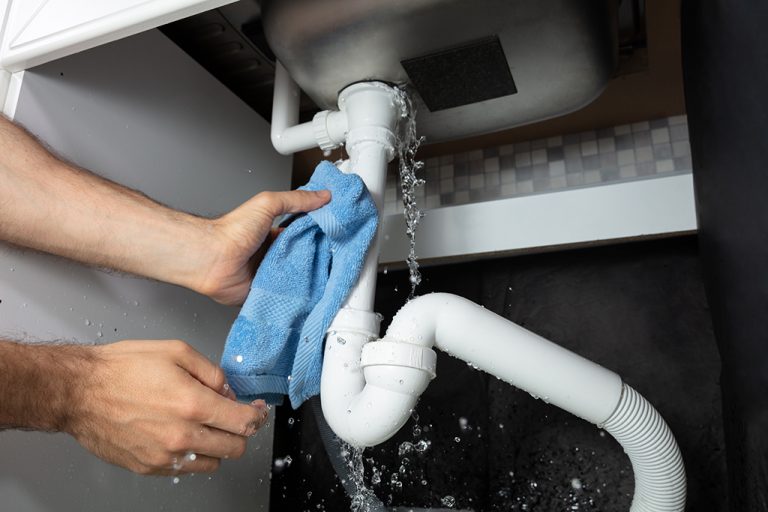 Comparison of DIY leak fixing versus professional leak detection tools
