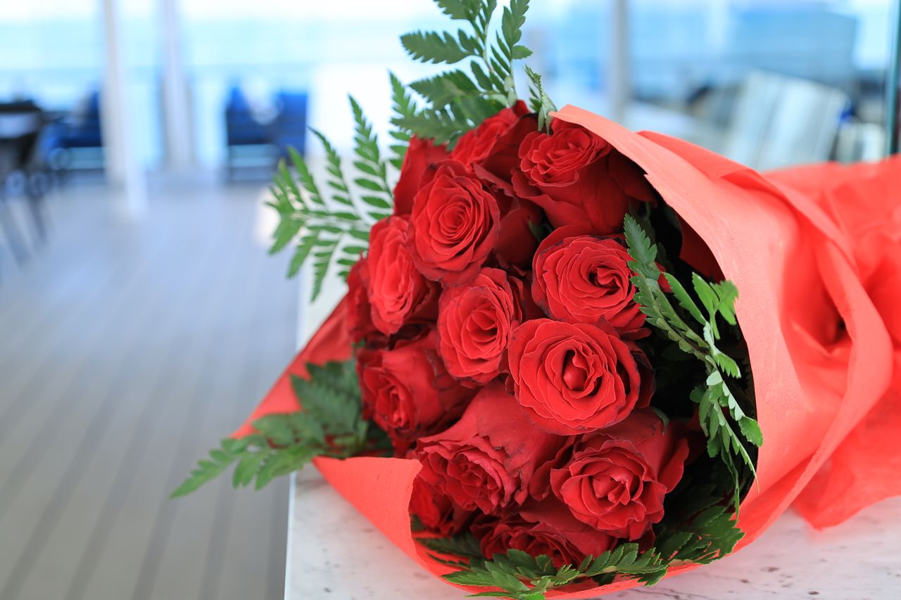 Red roses representing love and meaningful sentiments